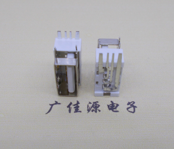 黑龙江USB侧立式短体10.0尺寸 侧插加宽脚5A大电流插座